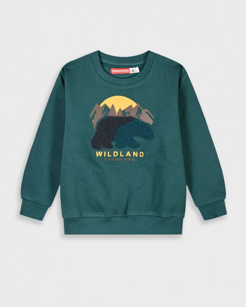 Παιδική Μπλούζα Φούτερ Με Κέντημα Wildland Αγόρι (2-6) -Κυπαρισσί- 