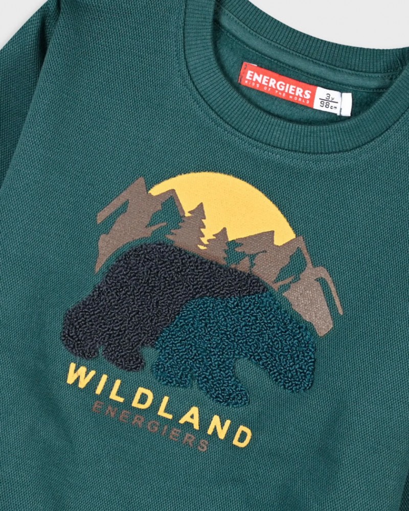 Παιδική Μπλούζα Φούτερ Με Κέντημα Wildland Αγόρι (2-6) -Κυπαρισσί- 