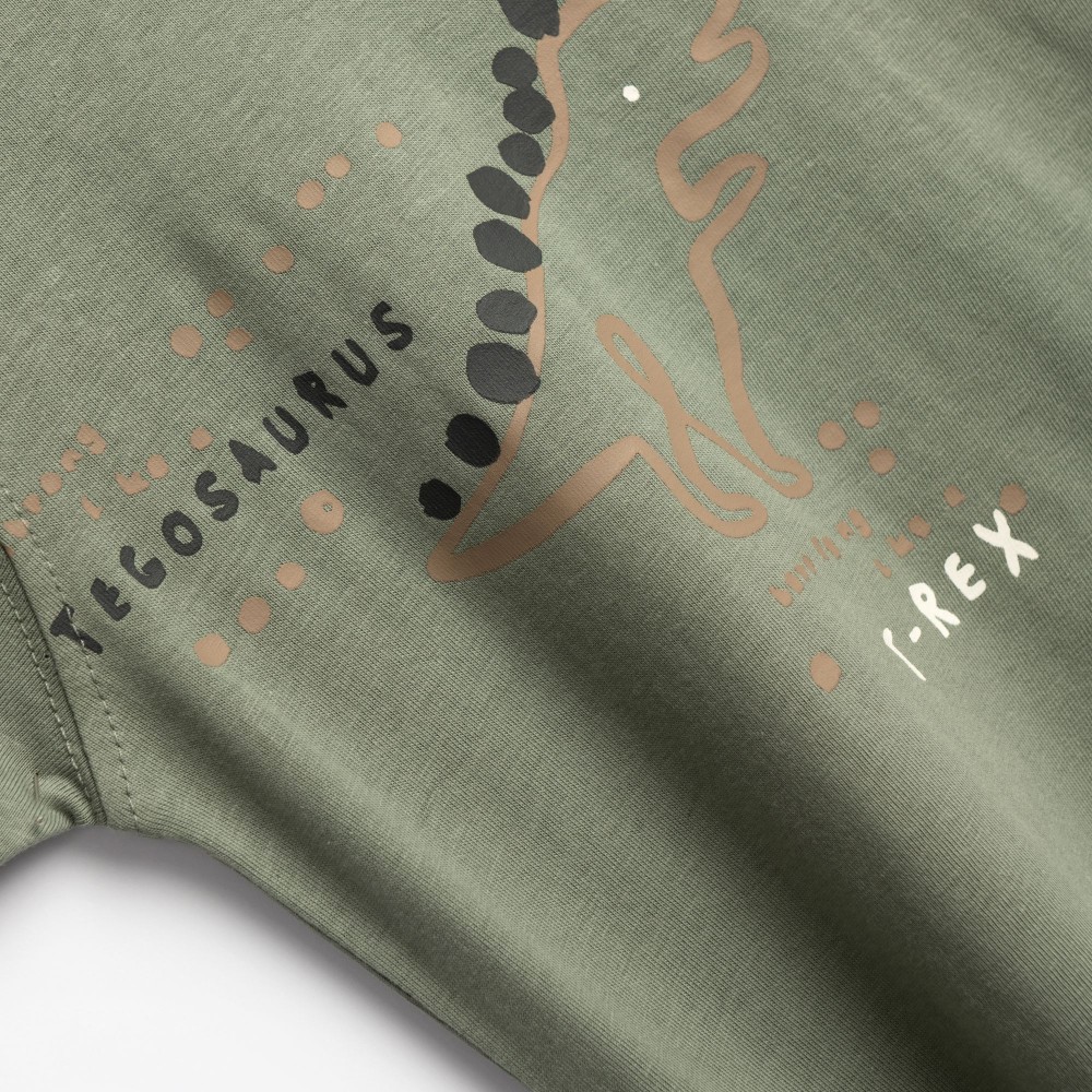 Παιδικό Σετ με Μπλούζα Dinosaurus και Βερμούδα Cargo Αγόρι (1-6) –Χακί– 126-303103-1