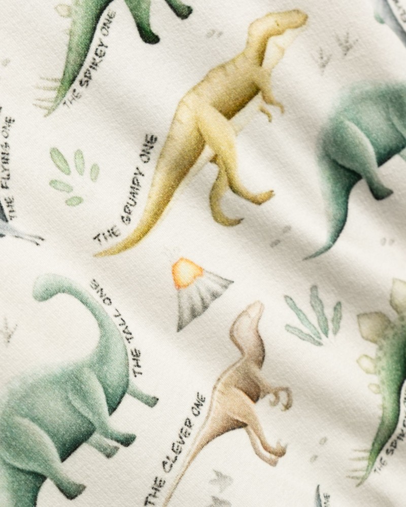 Παιδικό Σετ Φούτερ Φόρμα Εποχής Δεινόσαυροι Αγόρι (2-6) -Εκρού- 