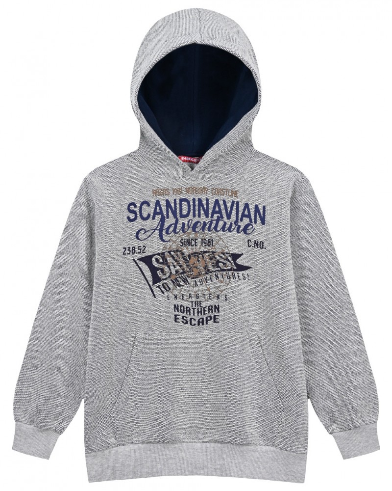 Εφηβική Φούτερ Μπούζα Με Κουκούλα, Hoodie Και Τύπωμα Αγόρι –Γκρι– 13-123010-5