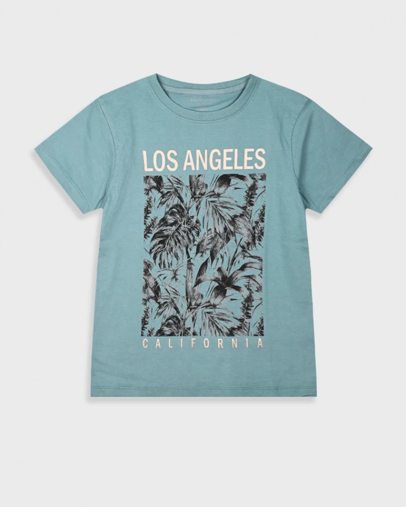 Εφηβική T-Shirt Μπλούζα με Τύπωμα L.A Αγόρι (6-16) -Πράσινο της Ερήμου- 13-225036-5