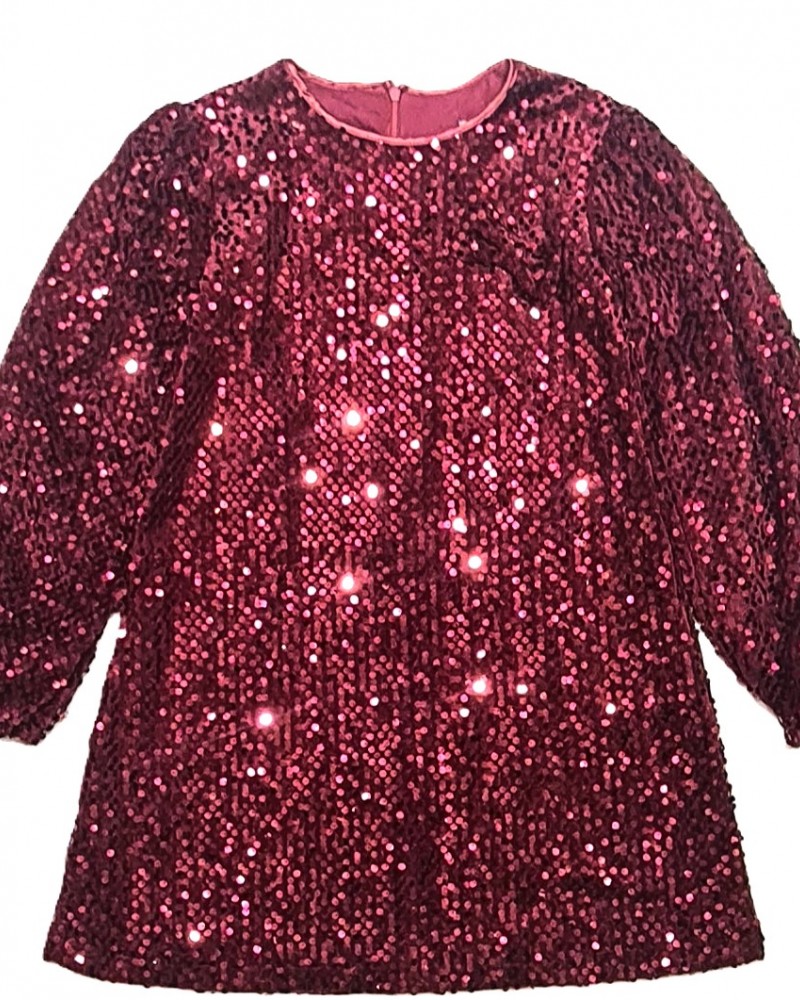 Εφηβικό Fashion Φόρεμα Βελουτέ Με Παγιέτα Κορίτσι (6-16) -Βυσσινί- 225-529106-1