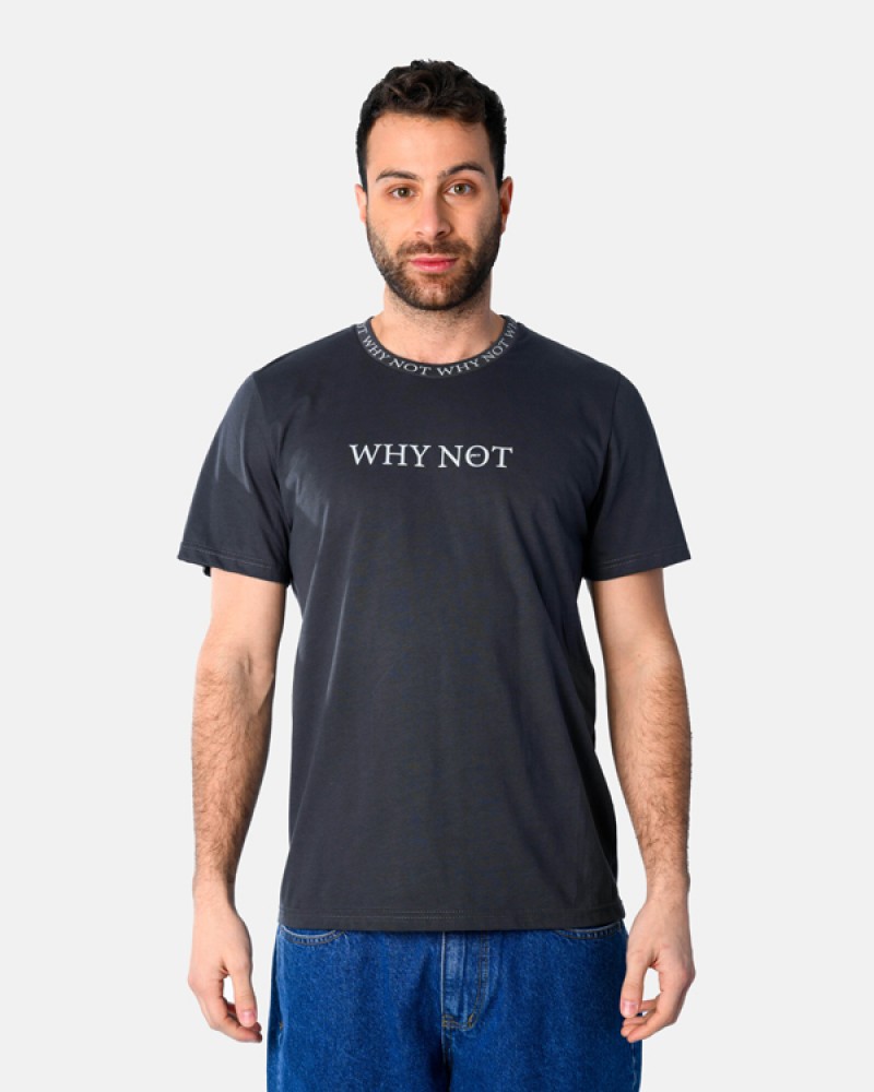 Ανδρική Μακό Μπλούζα T-Shirt Why Not -Ανθρακί- 2531049