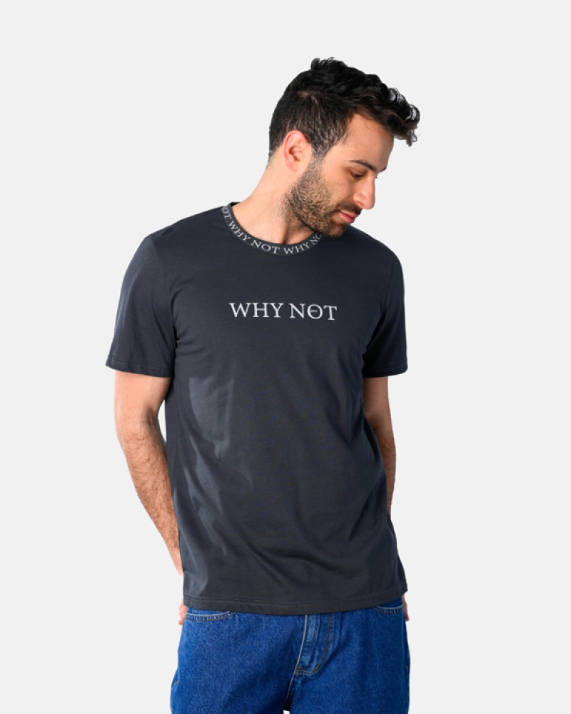 Ανδρική Μακό Μπλούζα T-Shirt Why Not -Ανθρακί- 2531049