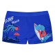 Παιδικό Μαγιό Τύπου Boxer Με Τύπωμα Surf Beach Αγόρι (1-6Ε) -Εμπριμέ- 32-224113-8