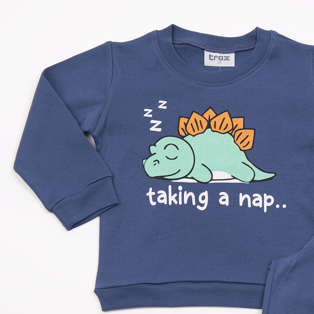 Παιδική Βαμβακερή Πυζάμα με Τύπωμα Taking a Nap Αγόρι (2-6) -Ίντιγκο- 